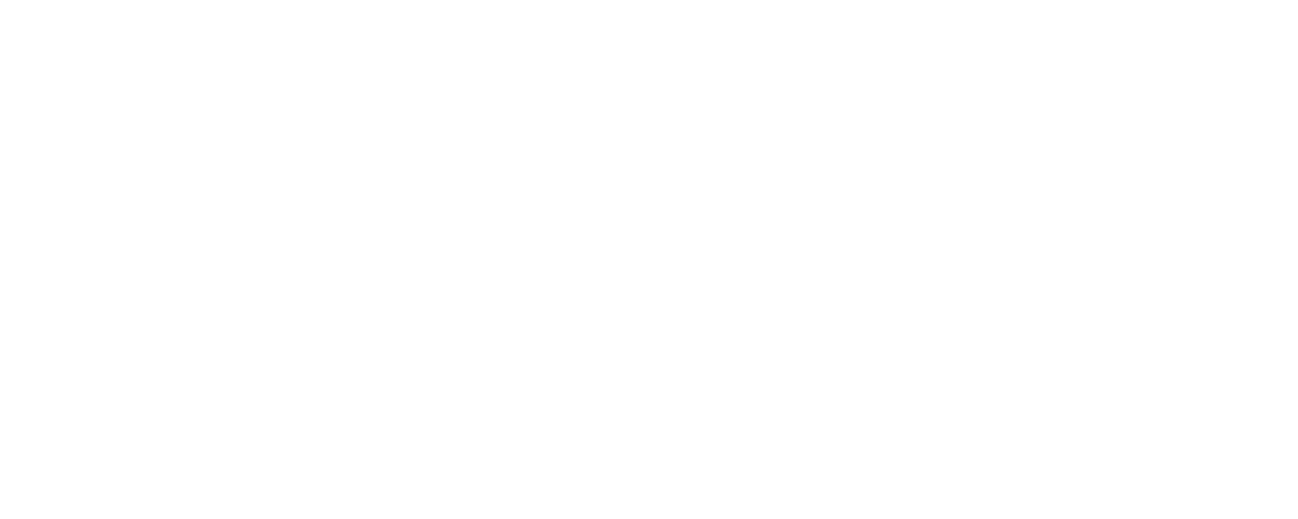 Virtual Street Management Group